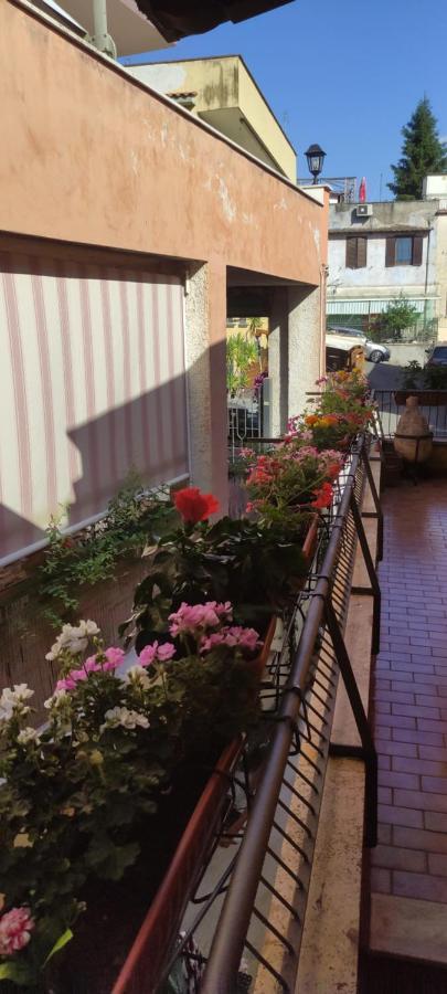 Elisa E Carla House Beautiful Apartments On The Cassia Rome Extérieur photo